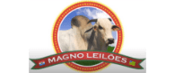 magno leiloes